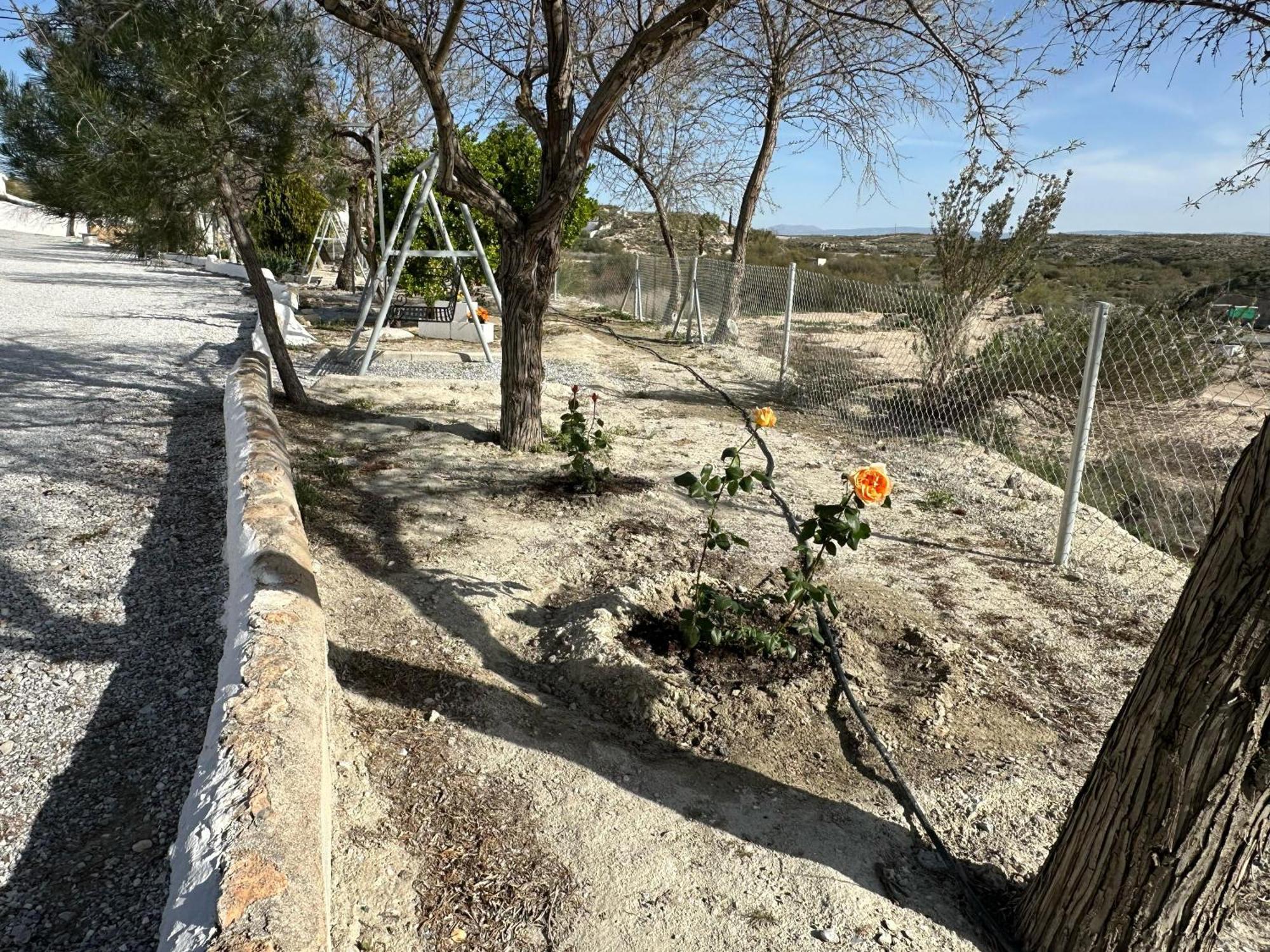 Alojamientos Cuevas Tiana El Aljibete المظهر الخارجي الصورة